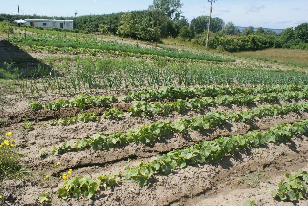 Agrodomki Okej -Dom Kasjan Gardna Wielka Eksteriør billede