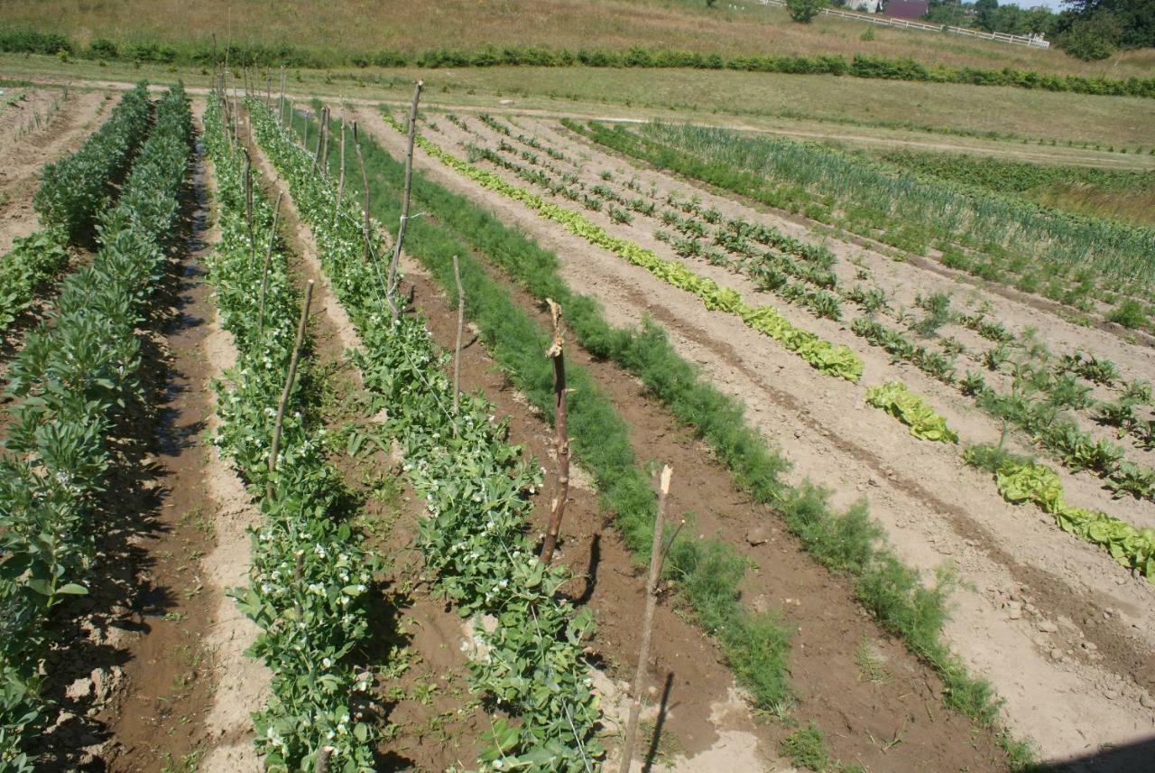 Agrodomki Okej -Dom Kasjan Gardna Wielka Eksteriør billede